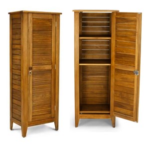 Wilczek 104.73 Gallons Solid Wood Cabinet from Wayfair