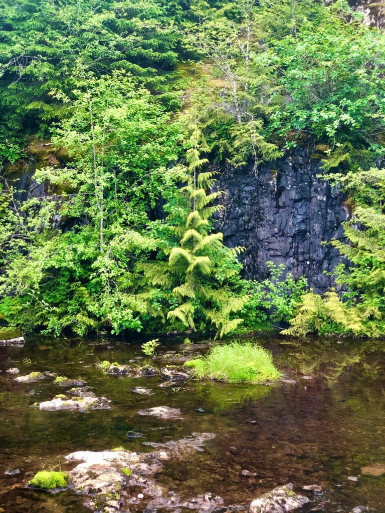 nature photo from Alaska