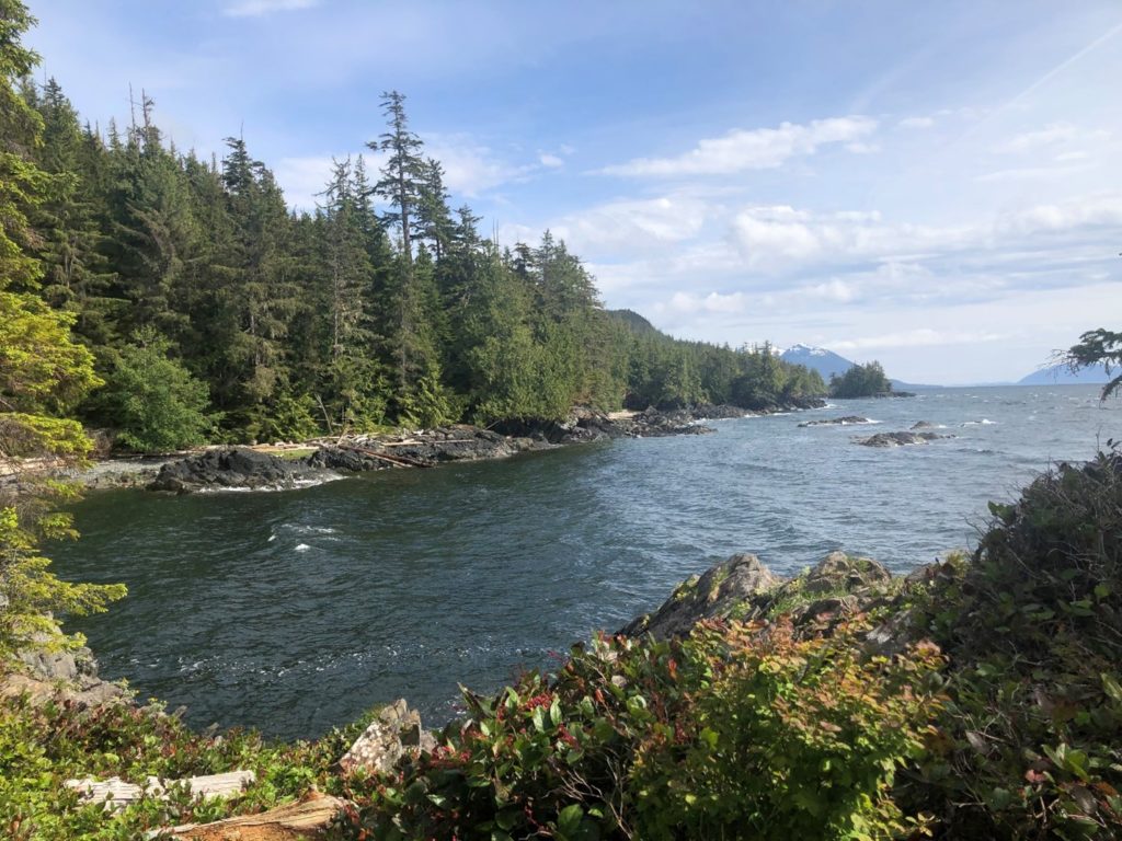 view of the lake near Ketchikan is sure to inspire good design